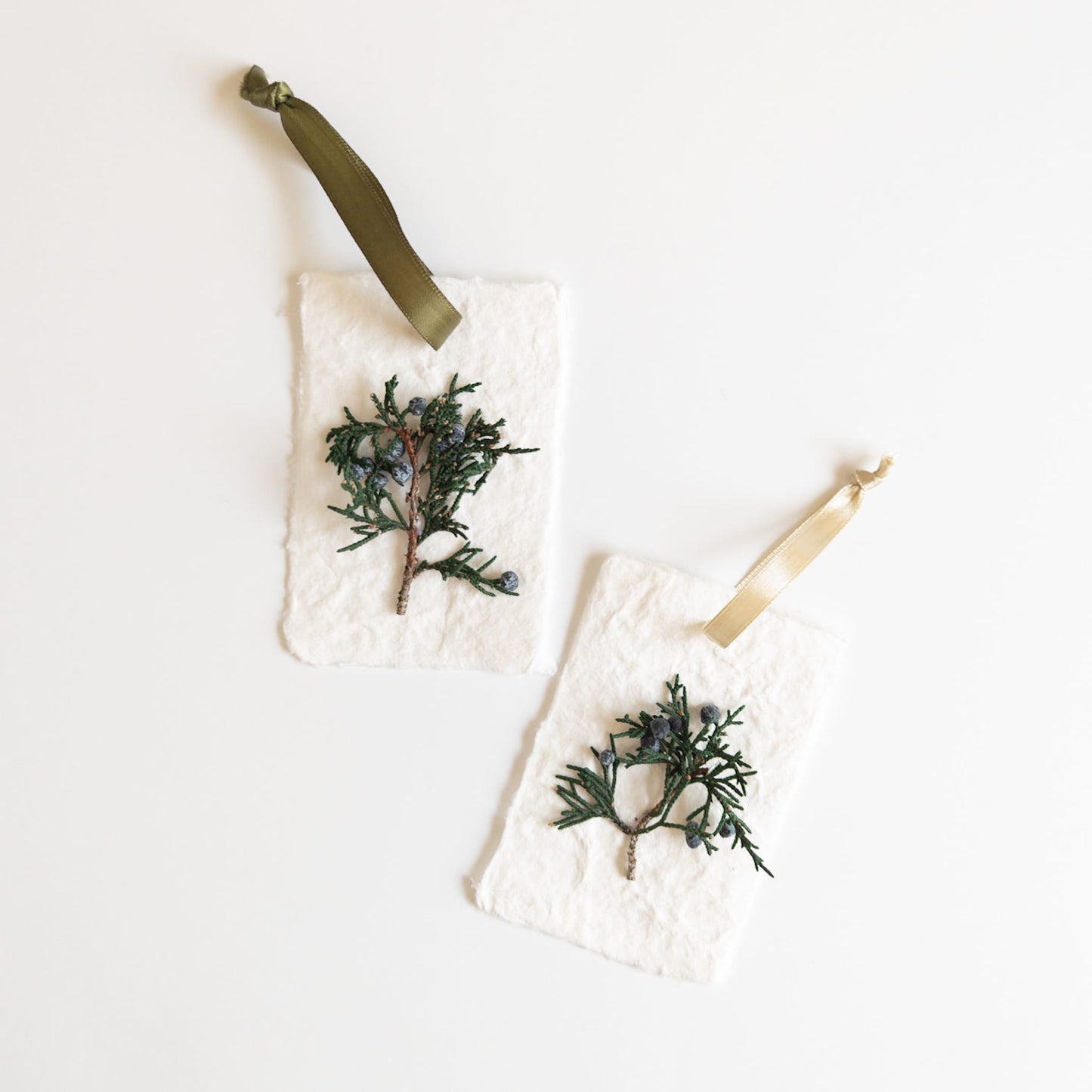 Preserved Juniper Holiday Gift Tags - Handmade