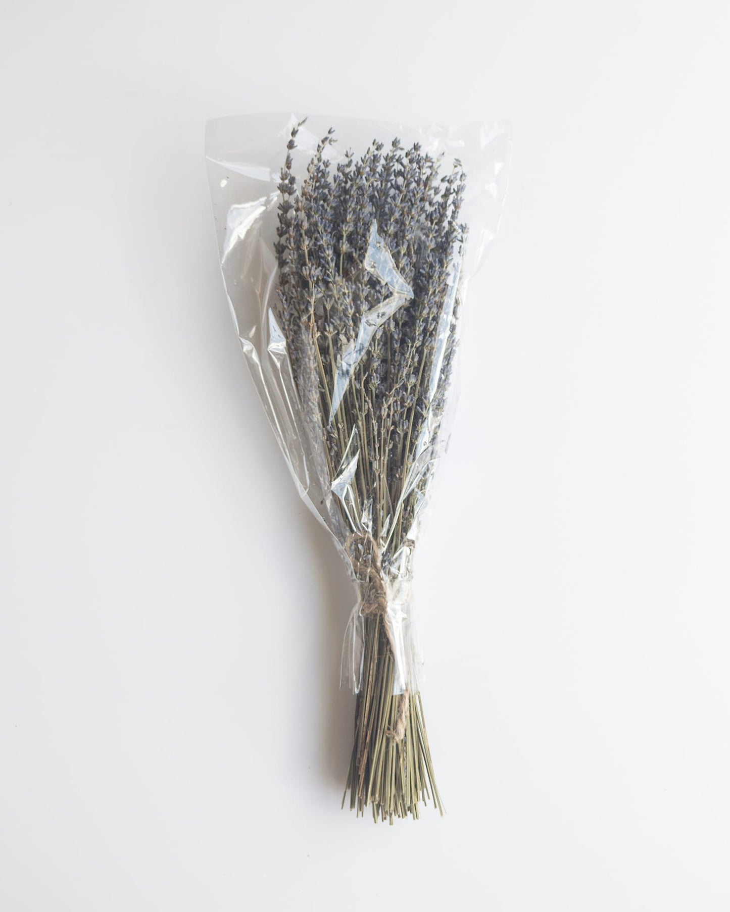 Elegant dried lavender bunch in soft sunlight