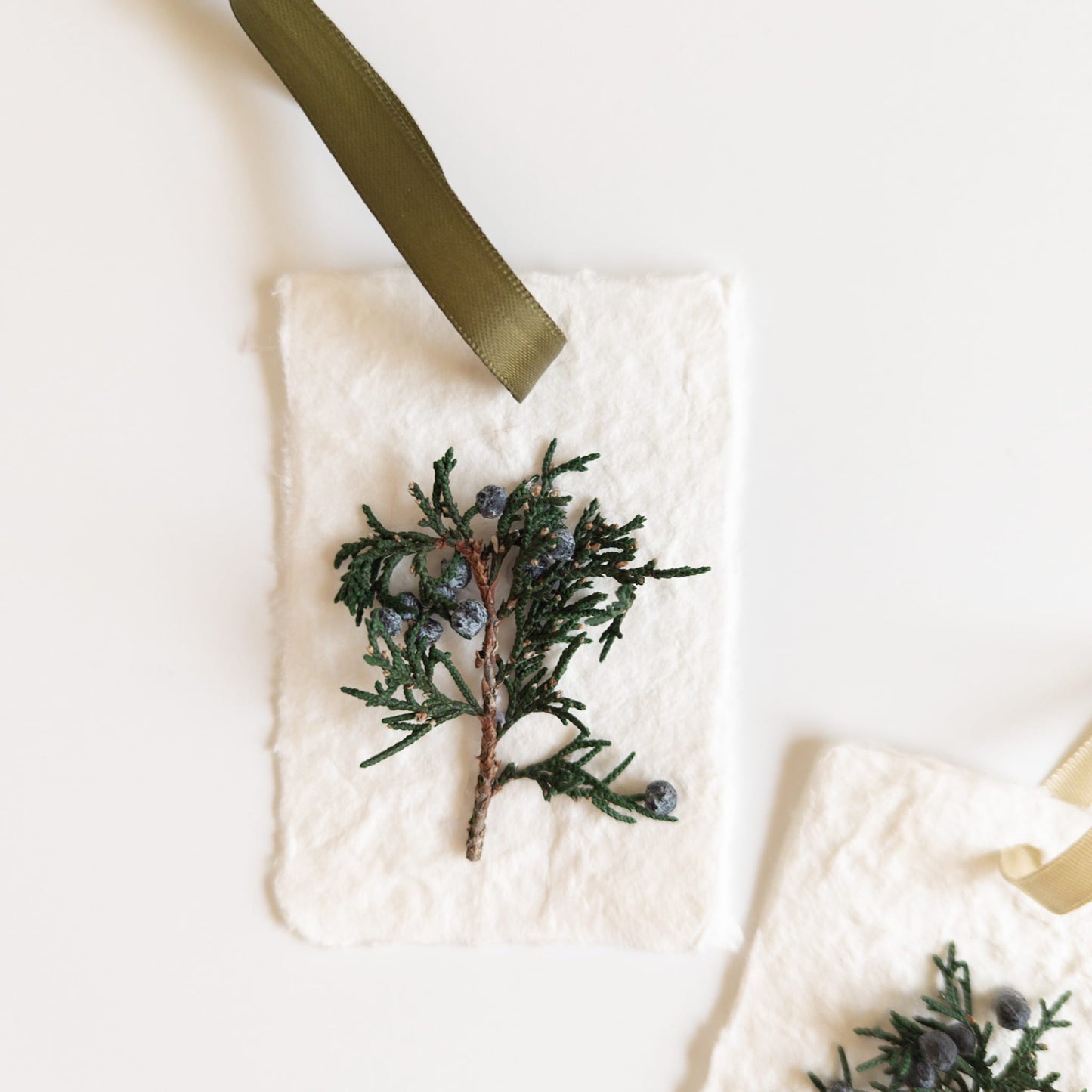 Preserved Juniper Holiday Gift Tags - Handmade