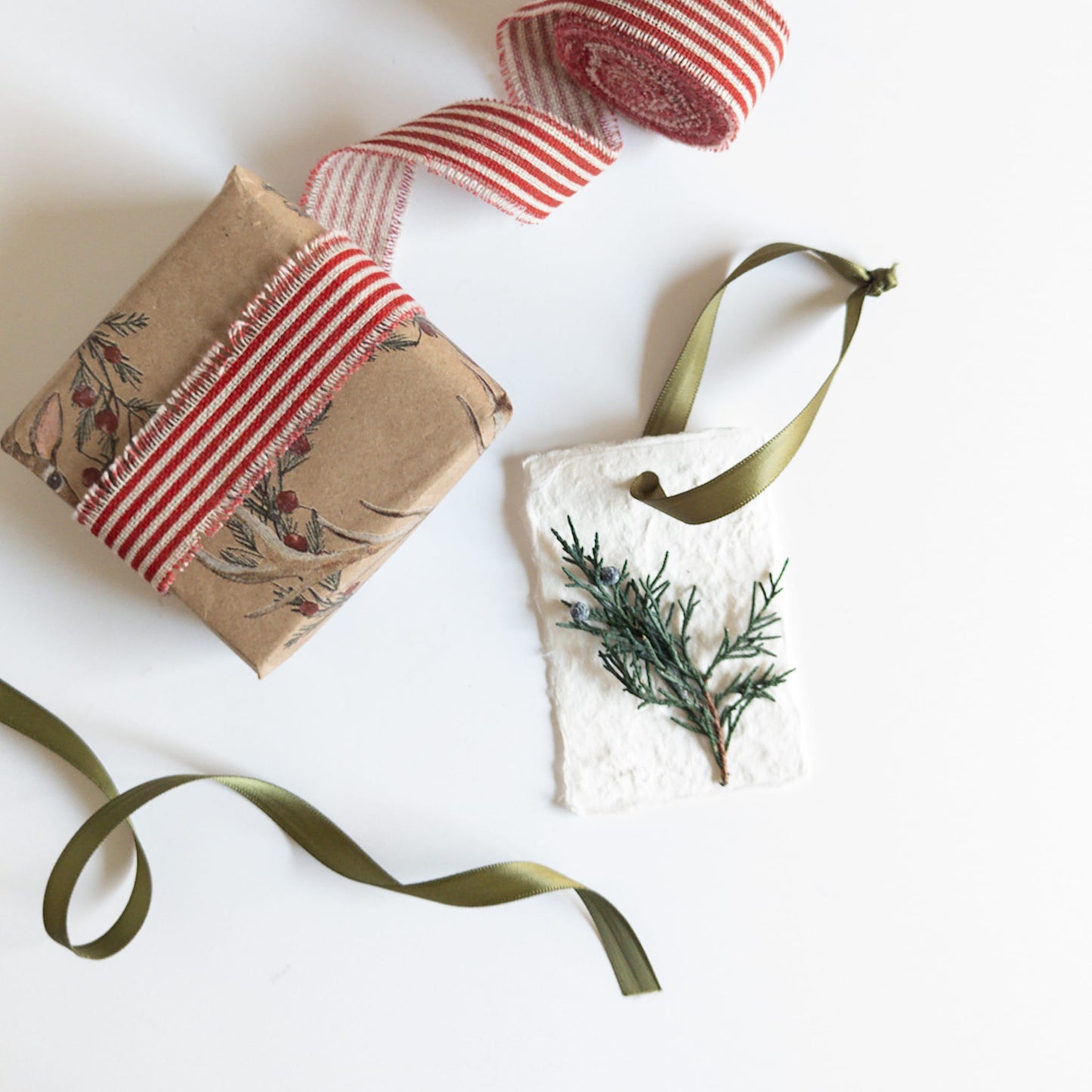 Preserved Juniper Holiday Gift Tags - Handmade