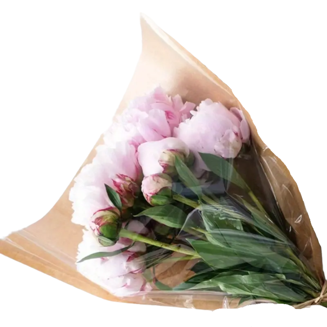 Kraft Flower Bag Packaging - 10 Pieces